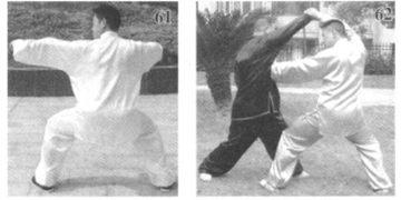 少林狗拳 下册 少林青龙拳（下）