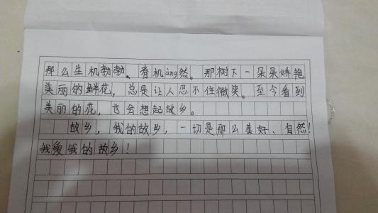 五年级作文我得到了 五年级我得到了快乐作文