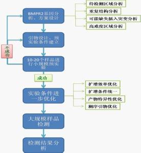 基因突变的应用 什么是基因突变 基因突变的应用