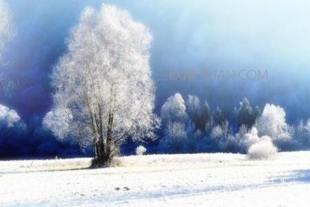 关于冬天的诗歌短一点 关于冬天的诗歌短一点_有关于冬天的诗歌