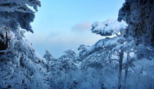 冬天的雪景作文 冬天黄山雪景作文450字