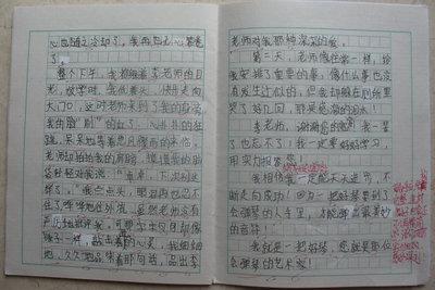 我成长了作文400字 我成长了的作文300字