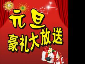 2017北京元旦跨年活动 2017元旦活动总结 2017年元旦活动总结