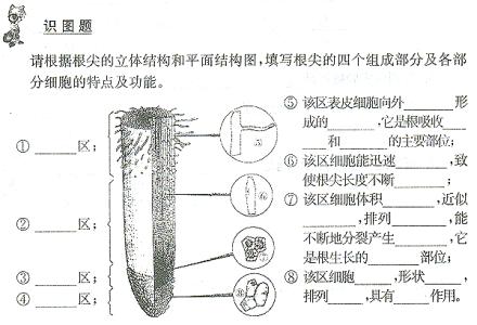 初一上学期生物知识点 七年级生物上学期知识点