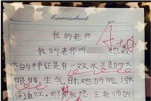 小考满分作文600字 小学生小考满分作文600字精选4篇