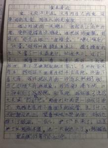 歌颂母亲的文章800 字 母亲的爱作文800字_歌颂母亲的爱作文800字