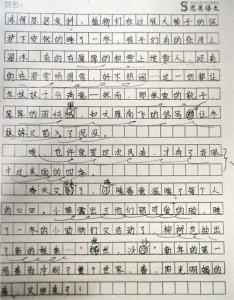 关于四季的作文500字 四季作文500字