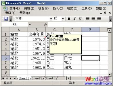 excel2003合并单元格 在Excel2003中添加单元格简介说明文字