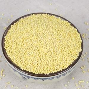 黄米的营养价值及功效 黄米的功效与作用及食用方法
