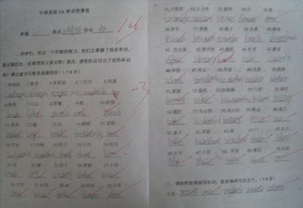 初三上学期学习总结800字