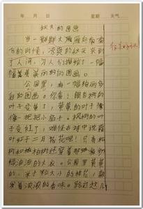 秋天的图画作文300字 秋天的图画作文300字范文4篇