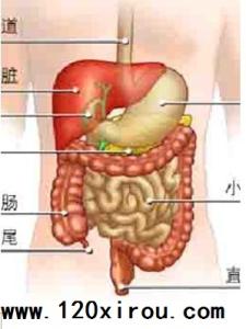 肠息肉的原因 肠息肉术后胀痛什么原因