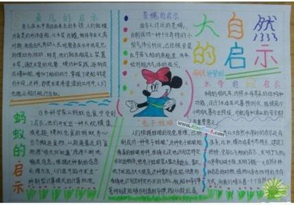 小学生大自然的启示 小学生优秀作文自然的启示4篇