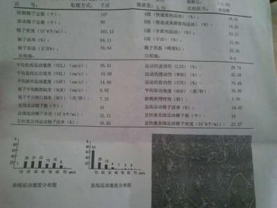 提高精子质量的食物 吃什么使精子质量好 提高精子质量的食物