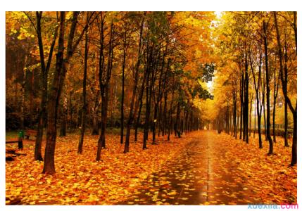 描写秋天景色的词语 有关秋天景色的词语有哪些