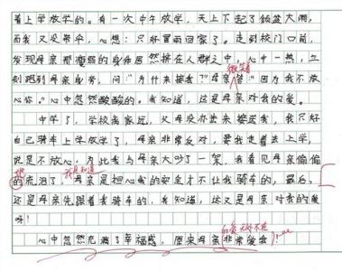 精选作文800字 报答作文800字精选4篇