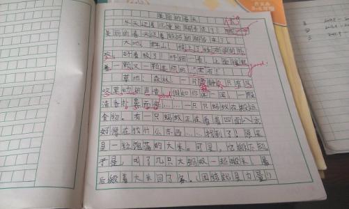春节的日记怎么写 春节日记作文 写春节的日记 春节作文