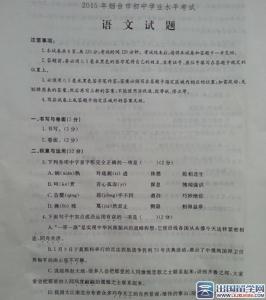 山东省中考语文试题 山东省烟台市语文中考试题