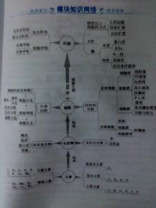 高中化学有机必备知识 高中生物必背知识