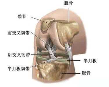 骨性关节炎的原因 骨性关节炎 造成它的原因是什么