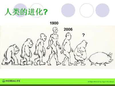 方舟生存进化猪吃什么 猪是由什么进化来的？