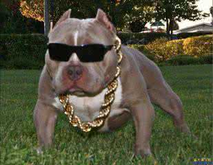 传奇皇帝朱元璋 讨饭帝朱元璋为何一定要整“明朝首富”沈万三？