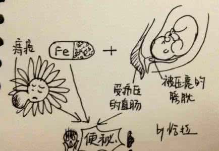 吉娃娃有眼屎 怀孕跟自己的屎较劲,生完跟娃的屎较劲!