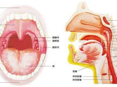 咽喉癌的早期症状 咽喉炎治疗方法