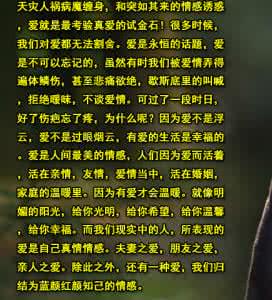 总裁好好爱全文免费版 图文：好好爱、珍惜爱，不要这样爱！