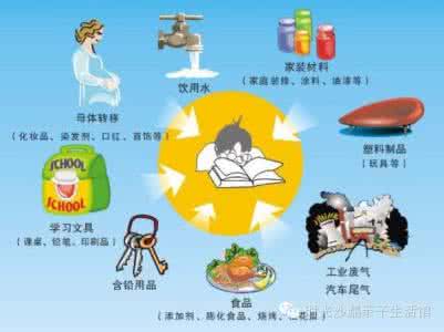 儿童铅中毒防治 儿童铅中毒防治 《儿童铅中毒的防治》