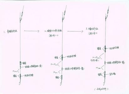 三本先生传统新钓法 吕景新先生“无重力钓法”钓线组图解