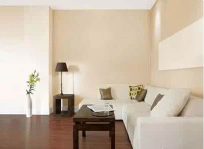 墙面装修材料有哪些 常用的墙面装修材料有哪些-