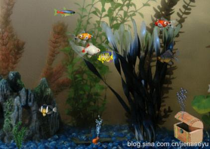 【中药佳方】一张图推荐《神奇香菜：是溶解血栓的最佳妙用！》