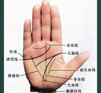 预防癌症的十个秘诀 【穴位秘诀】癌症肿瘤穴位快速诊断法