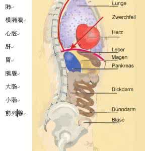 打嘟噜 打嘟噜正确要点 紧急避孕药正确用 4要点不可忽视
