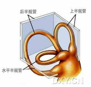 良性阵发性位置性眩晕 良性阵发性位置性眩晕 位置性眩晕的病因
