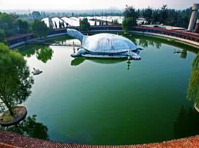 东方巨龟苑住宿 东方巨龟苑 东方巨龟苑旅游区的景点介绍