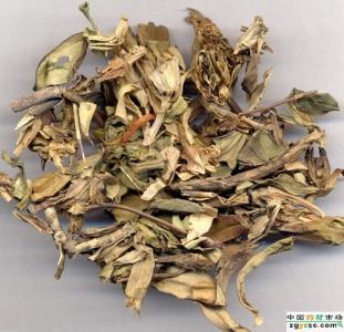 中草药龙胆草 中药龙胆草 2014年10月龙胆草价格行情走势介绍 中药龙胆草介绍