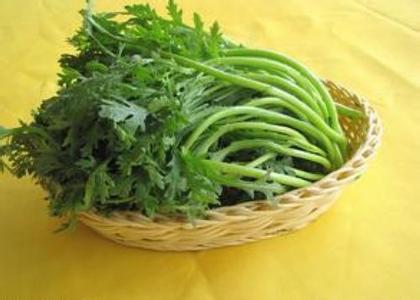 茼蒿的营养价值 健康饮食 茼蒿的营养价值_健康饮食