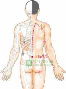 痞根的准确位置图 上仙点穴 
