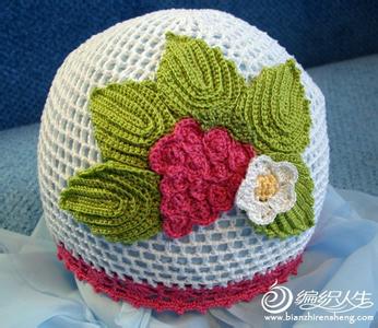 钩针扇形花边花样图解 钩针编织花样集锦帽子 【帽子集锦】韩版扇形花钩针帽