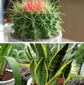 防辐射服屏蔽手机信号 什么东西防辐射 七个防辐射流言千万别信