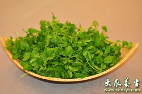 孕妇可以吃西洋菜吗 月子里可以吃西洋菜吗？