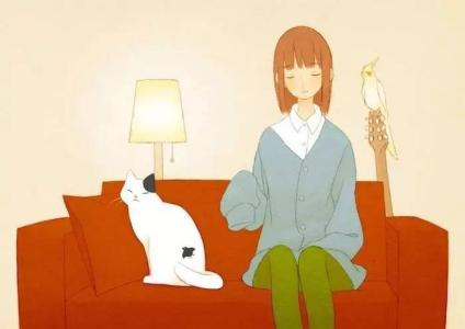 送花禁忌 看图文涨知识：送花的深意、禁、语言你理解吗？