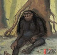 不可思议迷宫神秘山洞 不可思议的神秘视频 不可思议的动物 印尼神秘“小脚怪”之谜