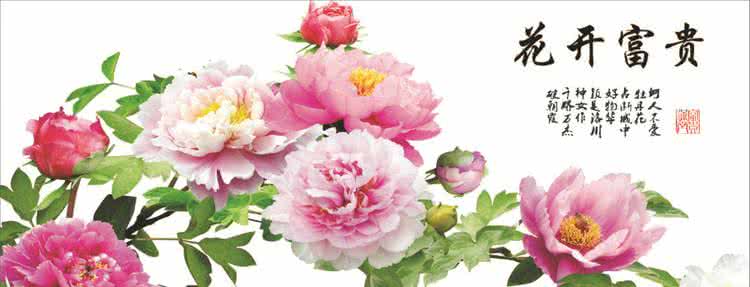 牡丹之歌主持词 《牡丹之歌》--牡丹古诗词集锦！