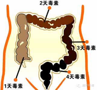 排出毒素一身轻松 排出毒素一身轻松 28天超简单排毒 排出毒素一身轻松