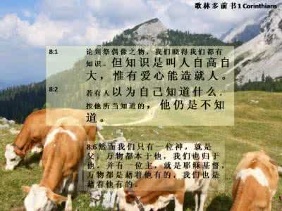 宫外孕案例 案例:两例宫外孕的启示