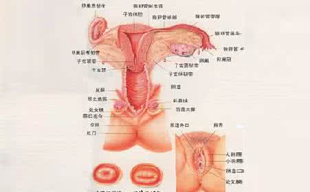 外阴白斑是什么症状 外阴白斑是什么症状 外阴白斑的症状是什么样的