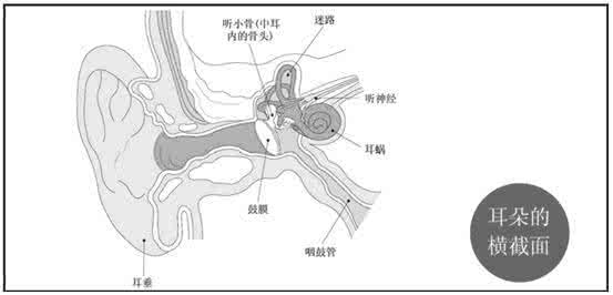 美尼尔病能治好吗 什么是美尼尔氏综合症 美尼尔氏怎么治疗